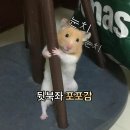 연세참사랑약국 | [공지] CU 신상 | EBS x 연세 생크림빵 솔직 뒷북 후기