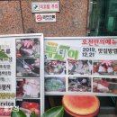 오금동 맛집 강원도 토속음식 전문 칡산에 황제보쌈 곤드레 돌솥밥 오금점