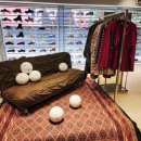 니어 포레스트 이미지