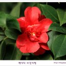 이화원(온실) 이미지