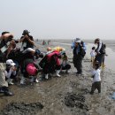 하전농장 이미지