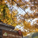 불광 둘레길 관광안내소 이미지