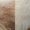 펫피르그루밍 | [김해애견미용] 단순 미용은 NO 피부케어 전문 펫피르그루밍
