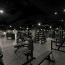 상주 ×/수업료45~65% /영짐(YOUNG GYM)의 같이 성장해나갈 수 있는 트레이너를 구합니다. 이미지