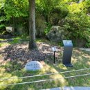 여민관 | 청화대 관람 종료 전 다녀온 후기