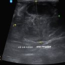 라뽀동물병원 이미지