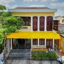 레몬트리 이미지