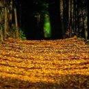 아름다운여행 이미지