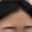 보니다미 네이버블로그