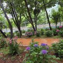 화명주유소 이미지