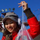 2025 얼음나라 화천 산천어축제 개막식 | '2025 얼음나라 화천산천어축제'(강원도 화천군 화천읍) 개최안내