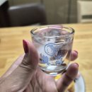 20도 | 신상 소주 리뷰 | 맛이 더 깊고 진해진 '처음처럼 클래식 20도' 솔직 후기