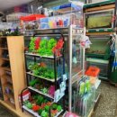 홍주수족관 이미지