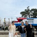 로이네 | [육아일상]🌸 2026 진해군항제 실시간 후기: "로이네 가족의 경화역 벚꽃 나들이" (아이와 가기 좋은 곳)