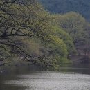 경산 반곡지 / 사진을 올리다보니..후기 적고 싶어졌답니다..^^ 이미지