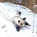 만송빌딩 이미지