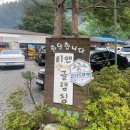 (경기도/가평) 서울 근교 여름휴가에 여자친구와 함께 가기 좋은 카라반 1순위 “티앤 글램핑“