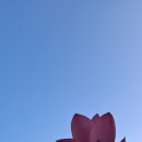 숫타니파타 5:1-986 자림 가사,시조단상 해설 이미지