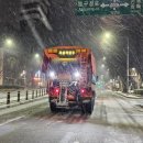 강남-269 이미지