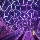 아시아드나이트 이미지