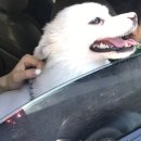 콩언니네