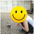 송이산장펜션 이미지