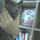 피정현 동물병원 이미지