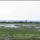 철없는바다 이미지