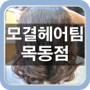 모결헤어팀 목동점