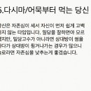 요거해