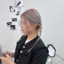 샵오오티디 이미지