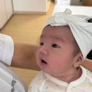 대구 산후도우미 :: 이레아이맘 산후도우미 3주 (권O숙 여사님) 후기