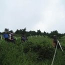 위미신용협동조합 이미지