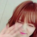 짐스타 이미지