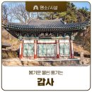 봄기운이 완연한 계룡산 갑사의 문화재 탐방