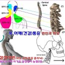 구로삼성정형외과의원 이미지
