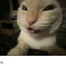 이도횟집 이미지