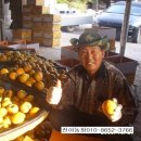 진아농장 이미지