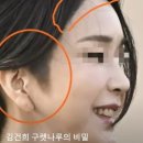 김건희농장 네이버블로그