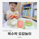 놀이놀이 | 복수박 과일자르기 3세 오감놀이 후기
