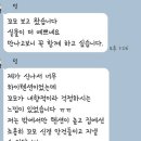 꼬모가 입양전제 임보를 가게 되었습니다♥ 이미지