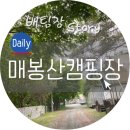 매봉산정육점 | 매봉산 캠핑장 다음에 와야 할 듯해요.