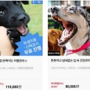 애플펫동물병원 이미지