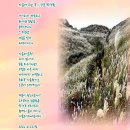가을에 피는 꽃 이미지