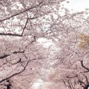 장기동 주민센터 이미지