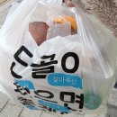 매운사랑중식빠 | 춘천 매운사랑중식빠 마라탕 꿔바로우 후기