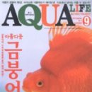 아쿠아라이프 네이버블로그