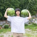 지민농장 이미지