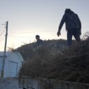 대림농원 이미지