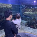아쿠아리움 | 10개월 아기랑 해운대 아쿠아리움 방문 후기